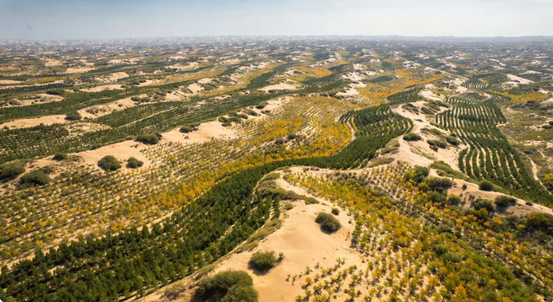 1773389317153284.jpg 图片3.jpg